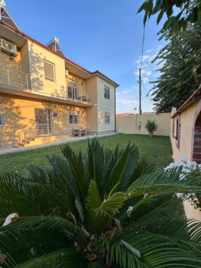Vila Snezana
